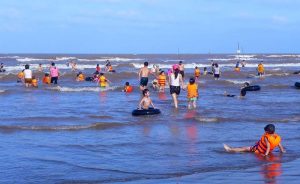 Cồn vành thái bình - taxiconnect