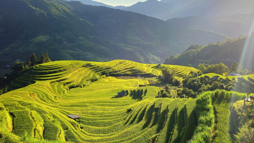 Ruộng bậc thang Hoàng Su Phì