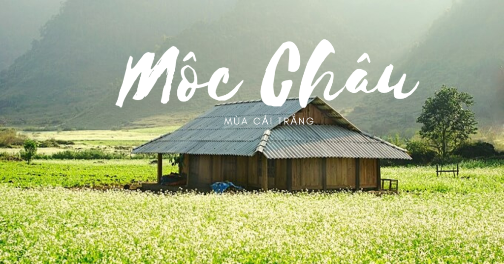 Du lịch mộc châu - Taxiconnect