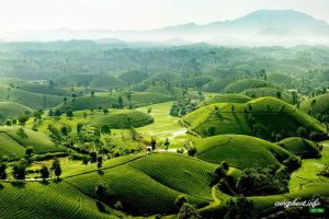 Du lịch phú thọ Taxiconnect